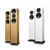 Momentum SX7: Neat Acoustics announced new Momentum models.