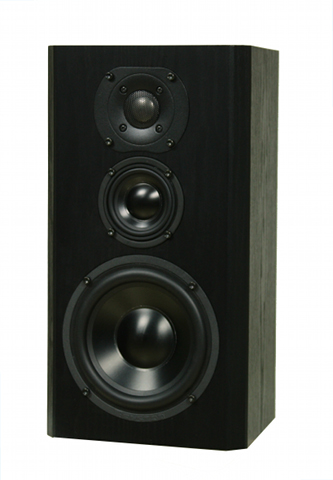 Bryston introduced the Mini A Loudspeaker.