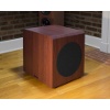 Bryston introduced the Model A subwoofer.