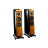 TAD Labs introduced the Evolution Series TAD-GE1 floor-standing speaker system.
