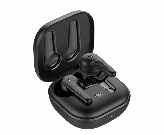 VegaBuds: Cerwin-Vega's  wireless earbuds.